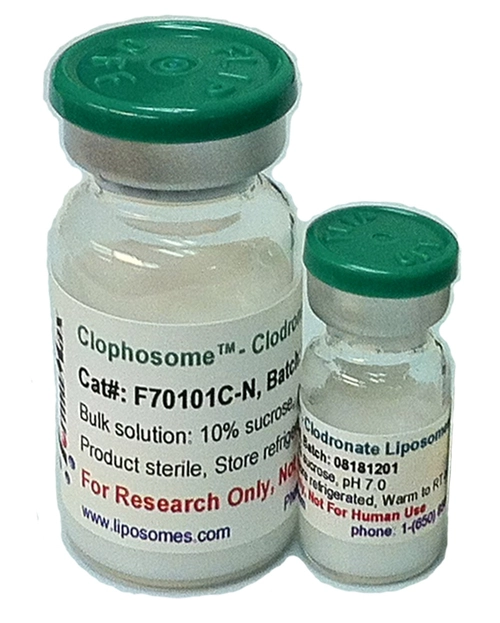 Plain Control Liposomes for Clophosome® (Neutral)