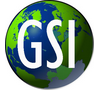 Genemed Synthesis Inc (GSI)