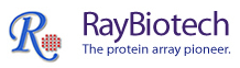 RayBiotech