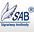 Signalway Antibody (SAB)