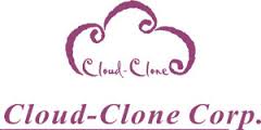 Cloud-clone logo