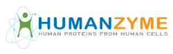 HumanZyme