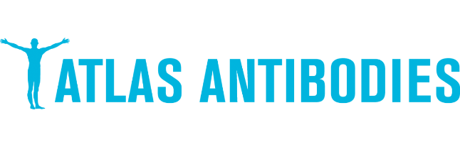 Atlas Antibodies