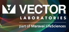 VECTOR Labs