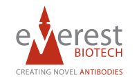 Everest Biotech