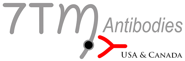 7TM Antibodies