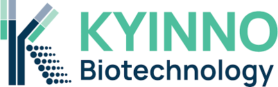 Kyinno Biotechnology