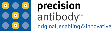 Precision Antibody