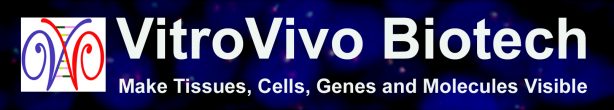 Vitro Vivo Biotech