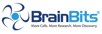 BrainBits