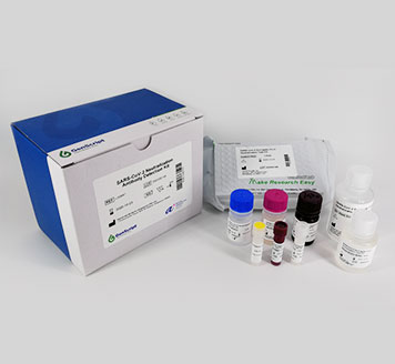 SARS-CoV-2 Surrogate Virus Neutralization Test (sVNT) Kit (RUO)