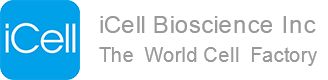 iCell Bioscience