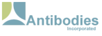 Antibodies Incorporated