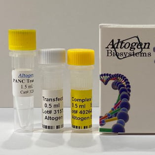 PANC1 Transfection Kit (Non-endocrine Pancreatic Cn)